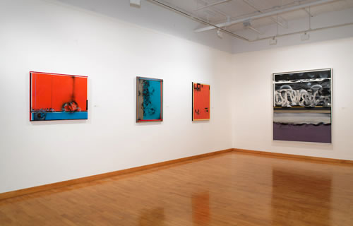 Nola Zirin - installation view 4 of exhibition at June Kelly Gallery